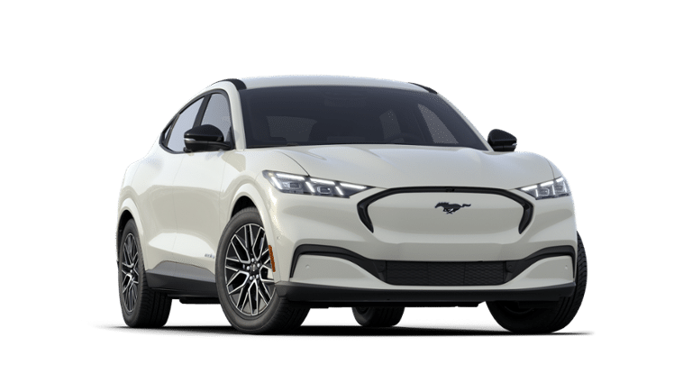 Mustang Mach-E® vehicle